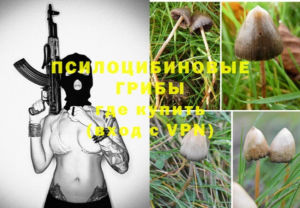 дживик Волоколамск