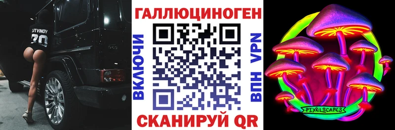 Псилоцибиновые грибы Cubensis Муром